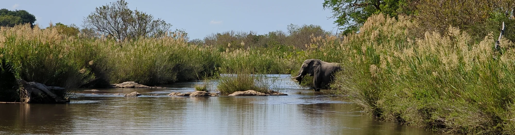 Des Safaris Africains