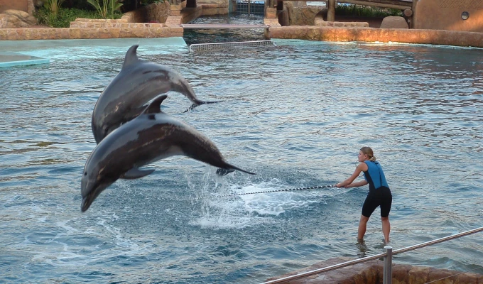 Durban uShaka Marine World