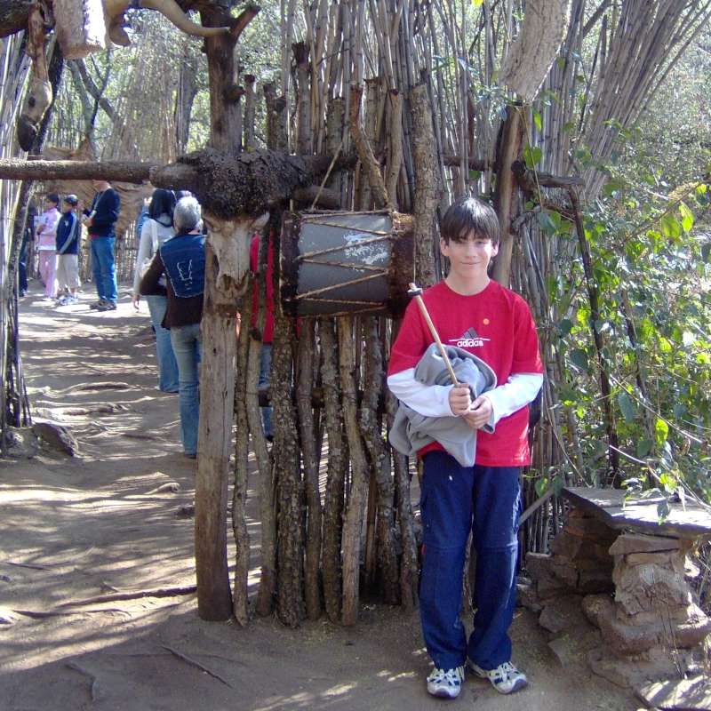 Lions Park and Lesedi Cultural village