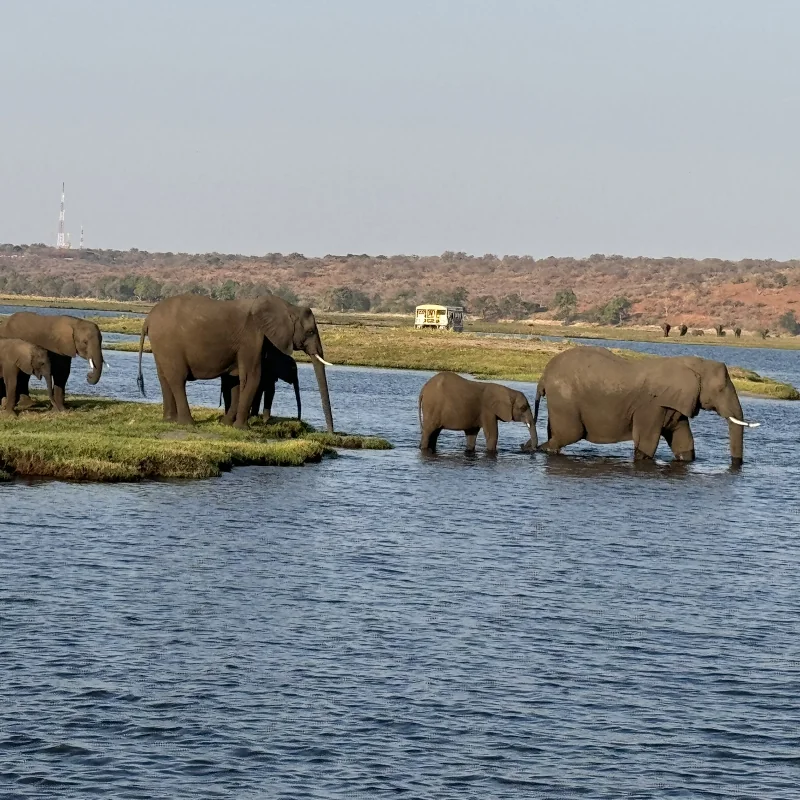 Chobe & Linyanti National Park Safari Botswana