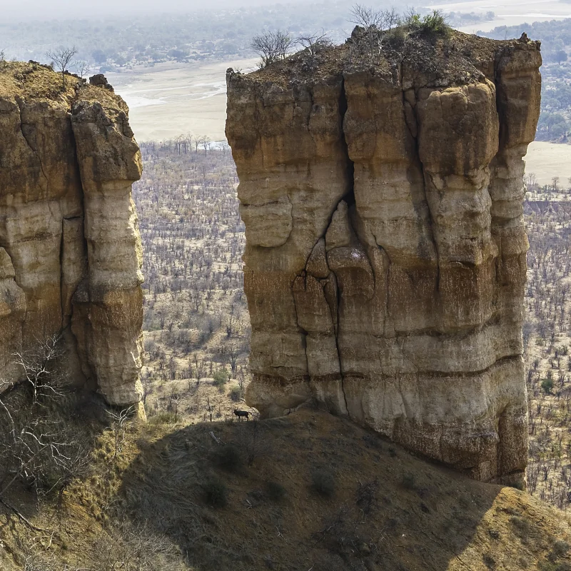 Gonarezhou National Park Wildlife Zimbabwe