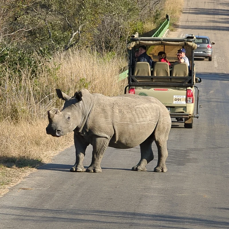 Hwange National Park Zimbabwe