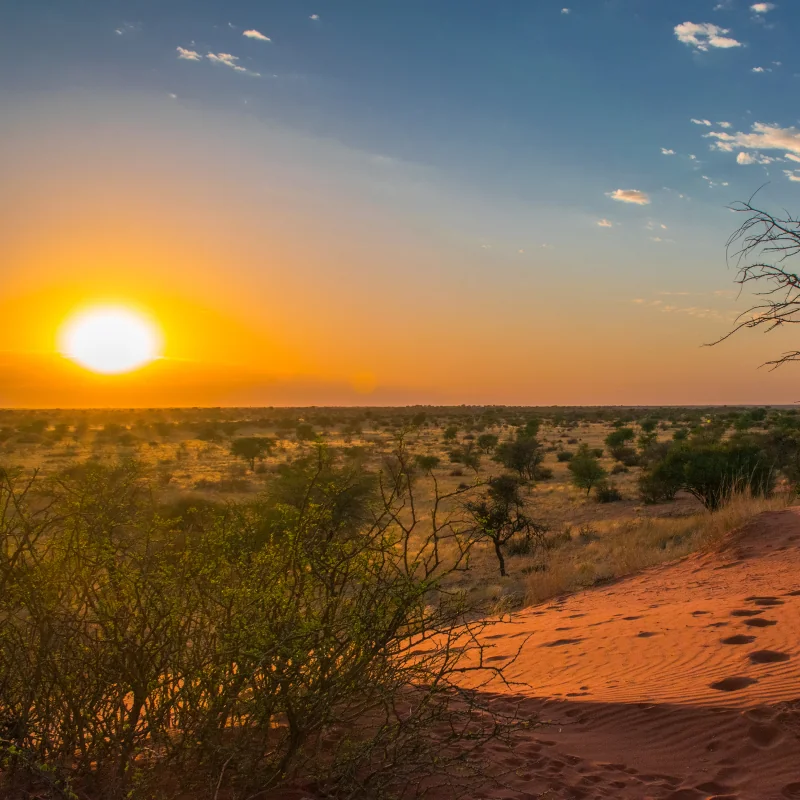 Kalahari Desert Botswana